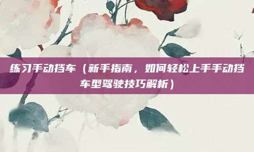 练习手动挡车(新手指南,如何轻松上手手动挡车型驾驶技巧解析)