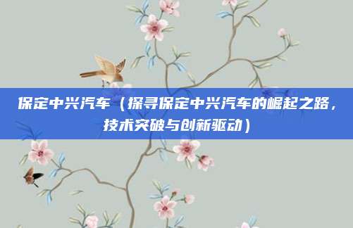 保定中兴汽车(探寻保定中兴汽车的崛起之路,技术突破与创新驱动)