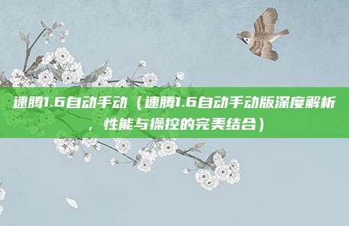 速腾1.6自动手动（速腾1.6自动手动版深度解析，性能与操控的完美结合）