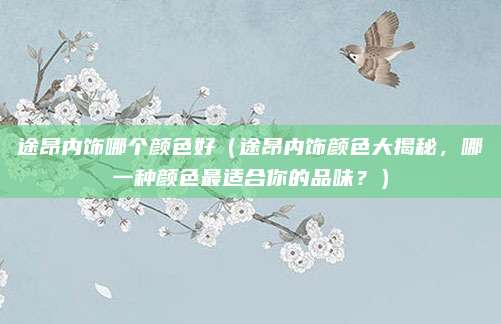 途昂内饰哪个颜色好（途昂内饰颜色大揭秘，哪一种颜色最适合你的品味？）