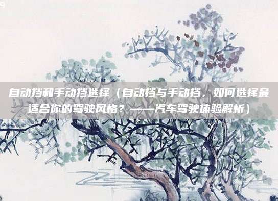自动挡和手动挡选择(自动挡与手动挡,如何选择最适合你的驾驶风格?——汽车驾驶体验解析)