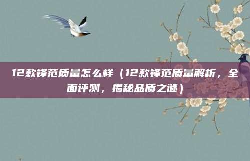 12款锋范质量怎么样(12款锋范质量解析,全面评测,揭秘品质之谜)