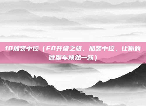 f0加装中控（F0升级之旅，加装中控，让你的微型车焕然一新）