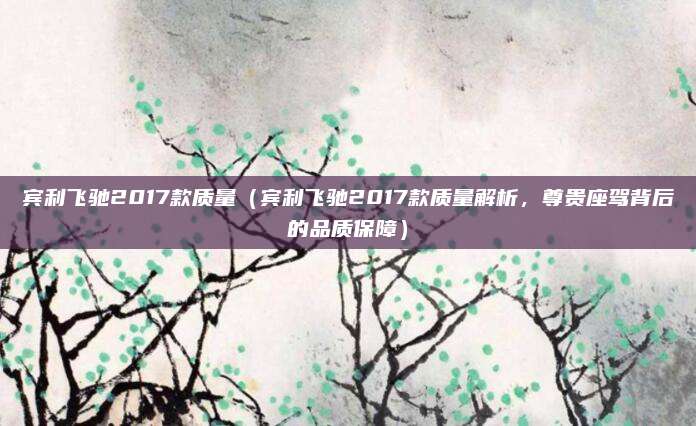 宾利飞驰2017款质量(宾利飞驰2017款质量解析,尊贵座驾背后的品质保障)