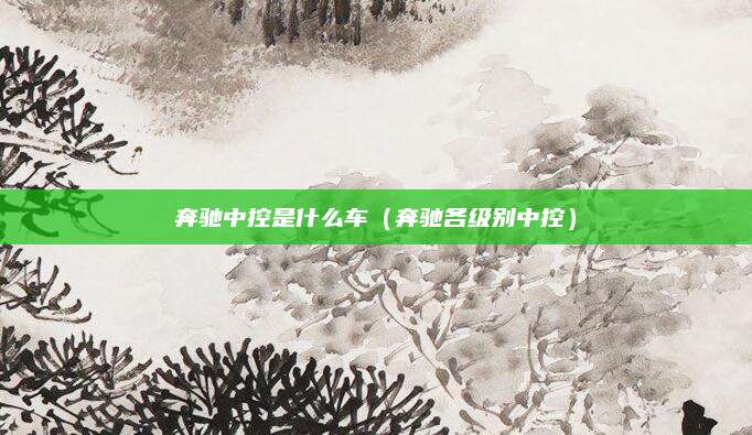 奔驰中控是什么车(奔驰各级别中控)