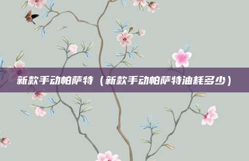 新款手动帕萨特(新款手动帕萨特油耗多少)
