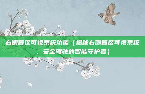 右侧盲区可视系统功能(揭秘右侧盲区可视系统,安全驾驶的智能守护者)