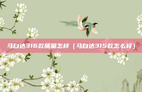 马自达316款质量怎样(马自达315款怎么样)