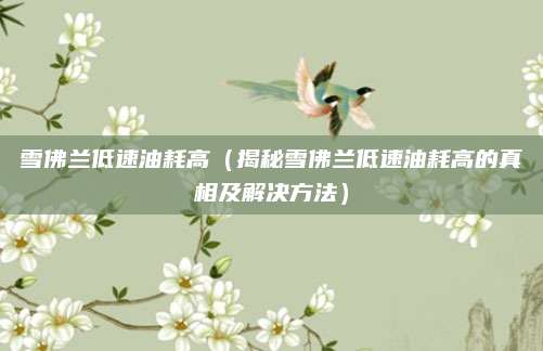 雪佛兰低速油耗高(揭秘雪佛兰低速油耗高的真相及解决方法)
