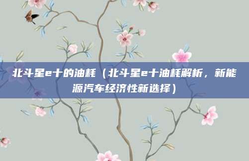 北斗星e十的油耗(北斗星e十油耗解析,新能源汽车经济性新选择)