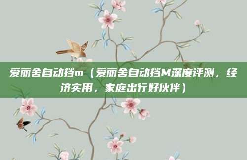 爱丽舍自动挡m（爱丽舍自动挡M深度评测，经济实用，家庭出行好伙伴）
