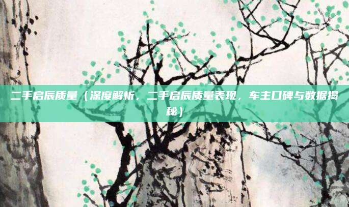 二手启辰质量(深度解析,二手启辰质量表现,车主口碑与数据揭秘)