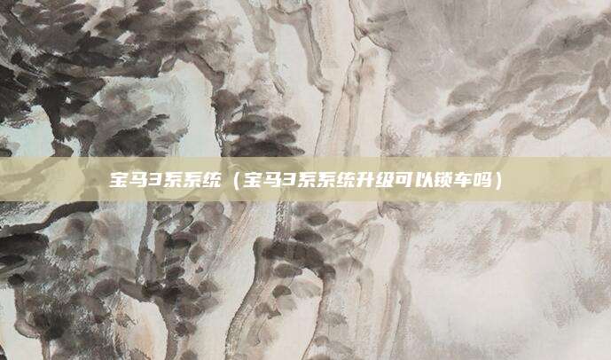 宝马3系系统(宝马3系系统升级可以锁车吗)