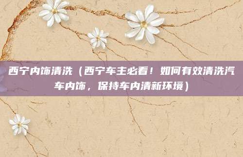 西宁内饰清洗(西宁车主必看!如何有效清洗汽车内饰,保持车内清新环境)