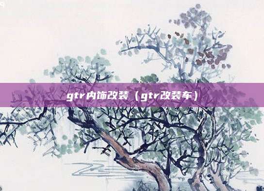 gtr内饰改装(gtr改装车)