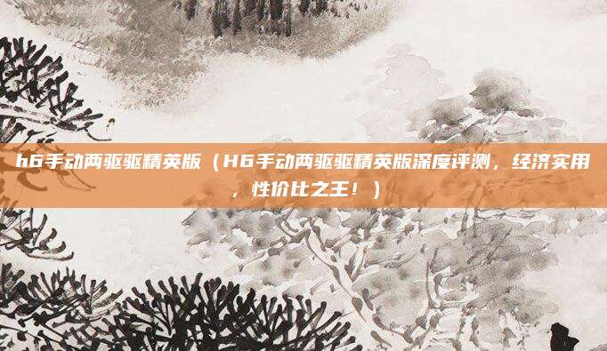 h6手动两驱驱精英版(H6手动两驱驱精英版深度评测,经济实用,性价比之王!)