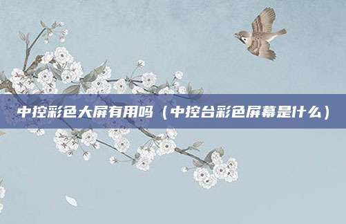中控彩色大屏有用吗(中控台彩色屏幕是什么)