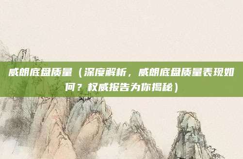 威朗底盘质量(深度解析,威朗底盘质量表现如何?权威报告为你揭秘)