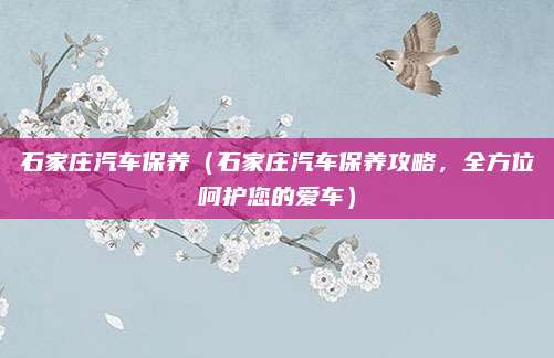 石家庄汽车保养(石家庄汽车保养攻略,全方位呵护您的爱车)