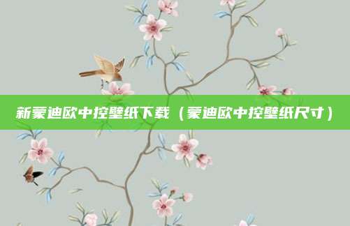新蒙迪欧中控壁纸下载(蒙迪欧中控壁纸尺寸)