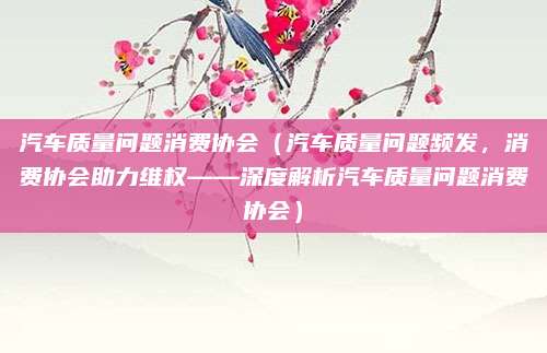汽车质量问题消费协会(汽车质量问题频发,消费协会助力维权——深度解析汽车质量问题消费协会)