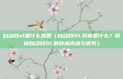 自动挡sl是什么意思（自动挡SL究竟是什么？揭秘自动挡SL的技术内涵与优势）