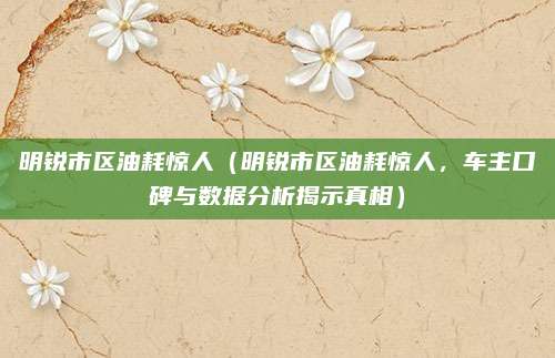 明锐市区油耗惊人(明锐市区油耗惊人,车主口碑与数据分析揭示真相)