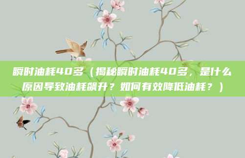 瞬时油耗40多(揭秘瞬时油耗40多,是什么原因导致油耗飙升?如何有效降低油耗?)