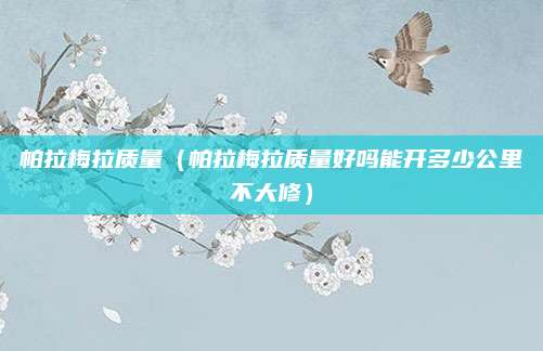 帕拉梅拉质量(帕拉梅拉质量好吗能开多少公里不大修)