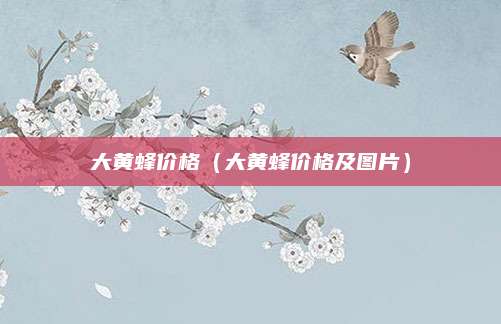 大黄蜂价格(大黄蜂价格及图片)