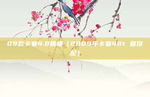 09款卡宴4.8质量(2009年卡宴48t 最顶配)