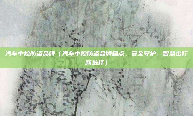 汽车中控防盗品牌(汽车中控防盗品牌盘点,安全守护,智慧出行新选择)