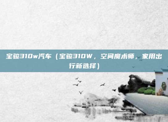 宝骏310w汽车（宝骏310W，空间魔术师，家用出行新选择）