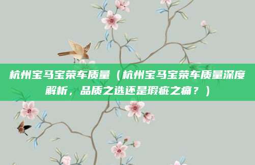 杭州宝马宝荣车质量(杭州宝马宝荣车质量深度解析,品质之选还是瑕疵之痛?)
