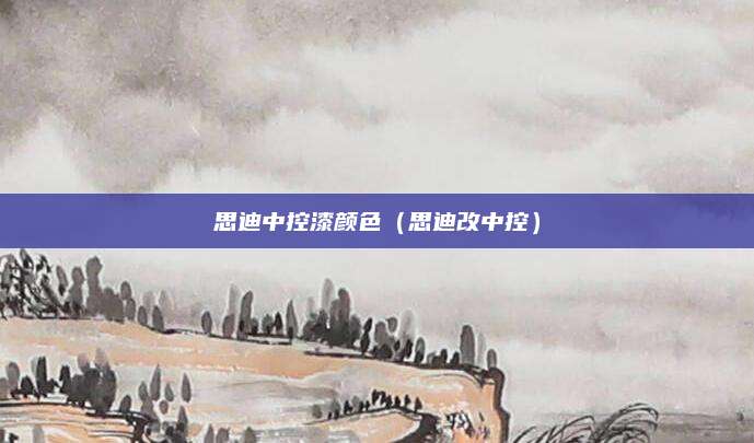 思迪中控漆颜色(思迪改中控)