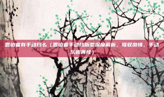 思铂睿有手动挡么(思铂睿手动挡版型深度解析,驾驭激情,手动乐趣再续)