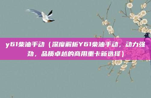 y61柴油手动(深度解析Y61柴油手动,动力强劲,品质卓越的商用重卡新选择)