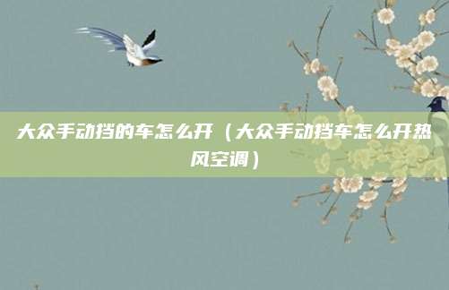 大众手动挡的车怎么开(大众手动挡车怎么开热风空调)