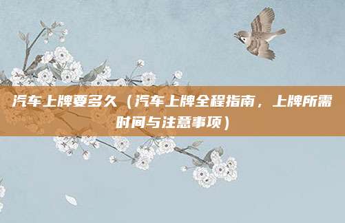 汽车上牌要多久（汽车上牌全程指南，上牌所需时间与注意事项）