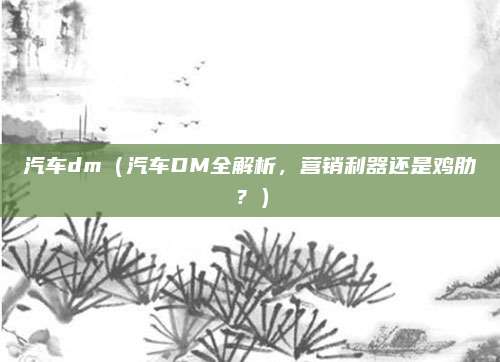 汽车dm（汽车DM全解析，营销利器还是鸡肋？）