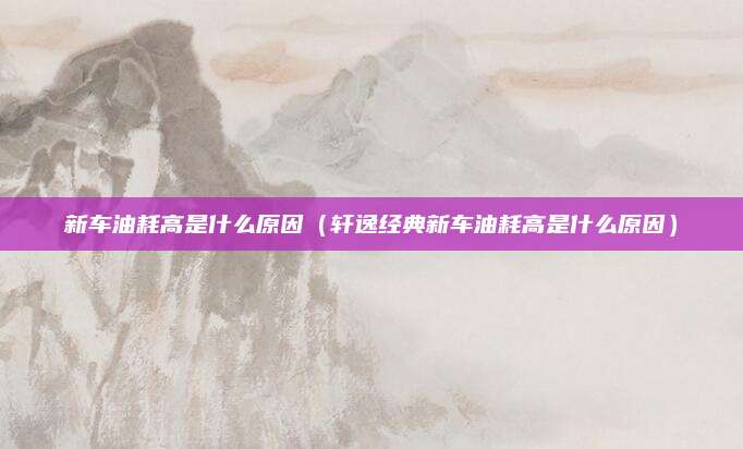 新车油耗高是什么原因(轩逸经典新车油耗高是什么原因)