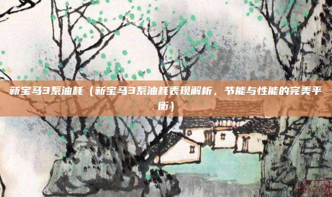 新宝马3系油耗(新宝马3系油耗表现解析,节能与性能的完美平衡)