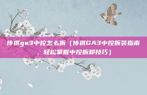 传祺ga3中控怎么拆（传祺GA3中控拆装指南，轻松掌握中控拆卸技巧）