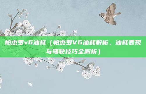 帕杰罗v6油耗(帕杰罗V6油耗解析,油耗表现与驾驶技巧全解析)