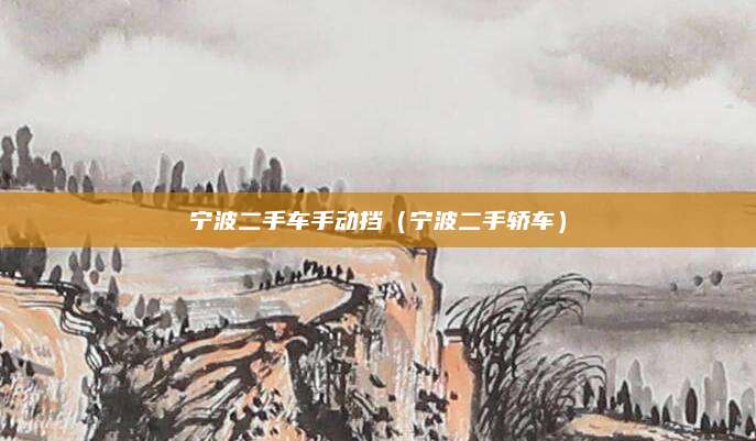 宁波二手车手动挡(宁波二手轿车)