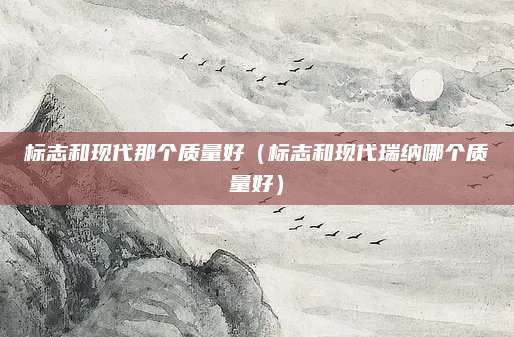 标志和现代那个质量好(标志和现代瑞纳哪个质量好)