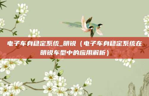 电子车身稳定系统_明锐(电子车身稳定系统在明锐车型中的应用解析)