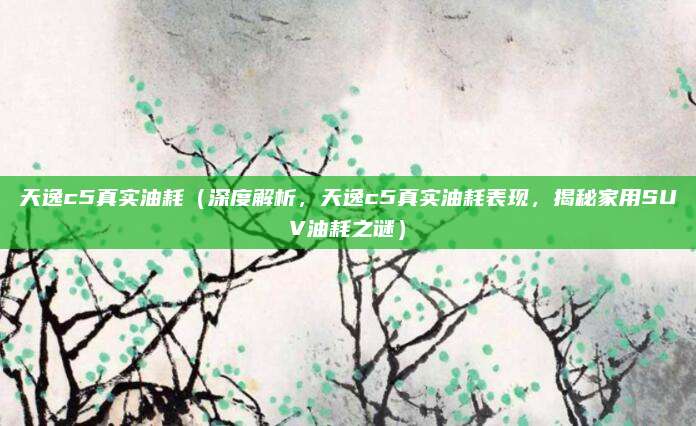 天逸c5真实油耗(深度解析,天逸c5真实油耗表现,揭秘家用SUV油耗之谜)
