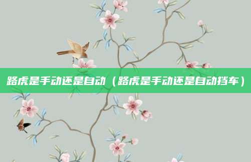 路虎是手动还是自动(路虎是手动还是自动挡车)