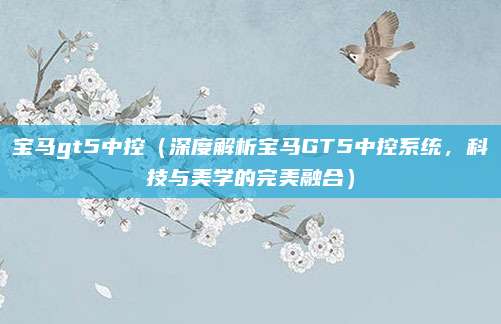 宝马gt5中控(深度解析宝马GT5中控系统,科技与美学的完美融合)